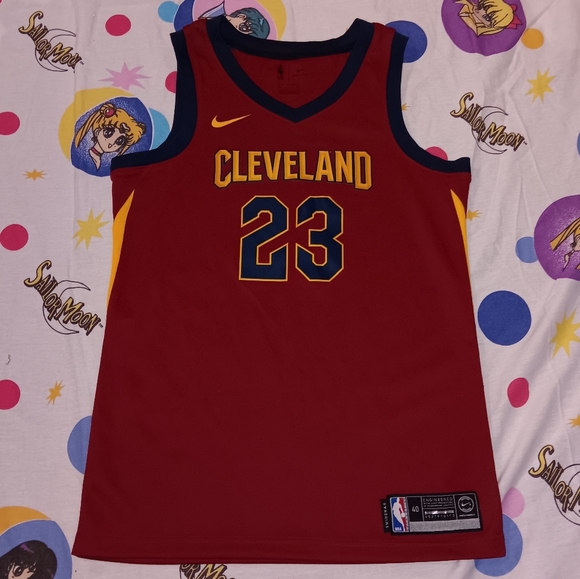 Nike Icon Lebron King James Cleveland Cavaliers Swingman Basketball Jersey - Picture 1 of 8
